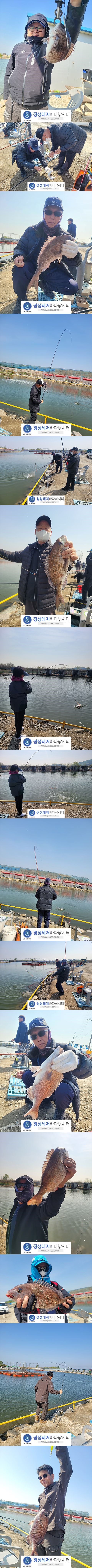 68a3dcd3d67d5f1eef9c19c5b1d21173_1682583643_4531.jpg