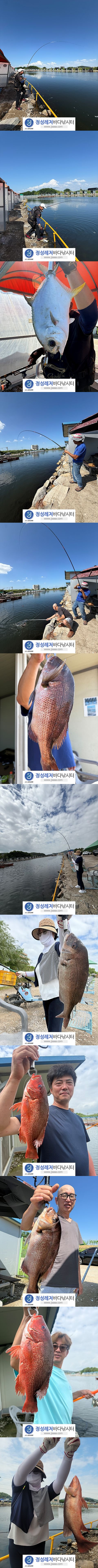 19cd3d7c9fb78851d9f724596caac4eb_1783931116_2568.jpg