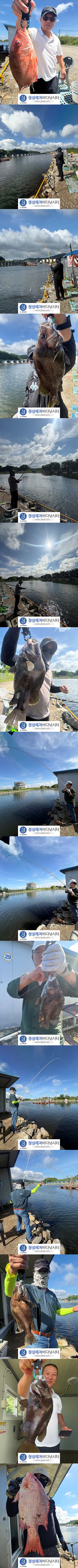 700e9c94276b233a6fcdad5f78837de9_1785313880_3488.jpg