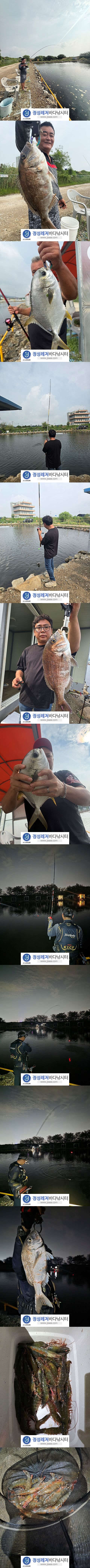 1ef25079b6ad6a11384c0fa42cc1ca8c_1787126892_8736.jpg